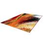 Imagine 3/5 - Espo 300 Multicolor covor 200x290