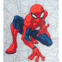 Imagine 2/3 - Disney Spider-Man Multicolor covoare pentru copii 5512